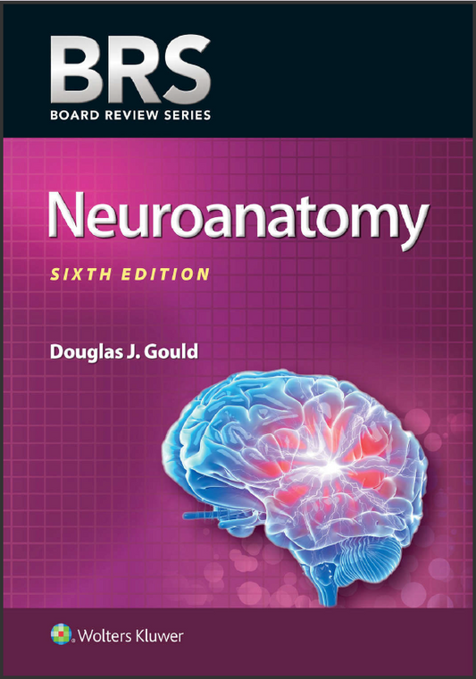 Neuroanatomy